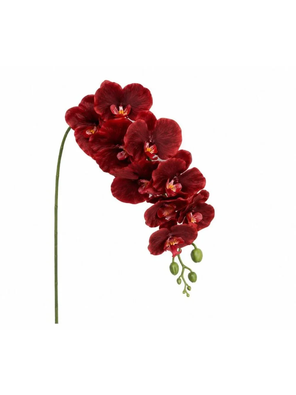Real Touch Burgundy Orchid Stem 38 Inch Faux Phalaenopsis Orchid Luxury Artifici